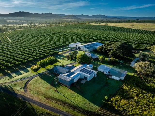 Property for sale in Dimbulah, Queensland