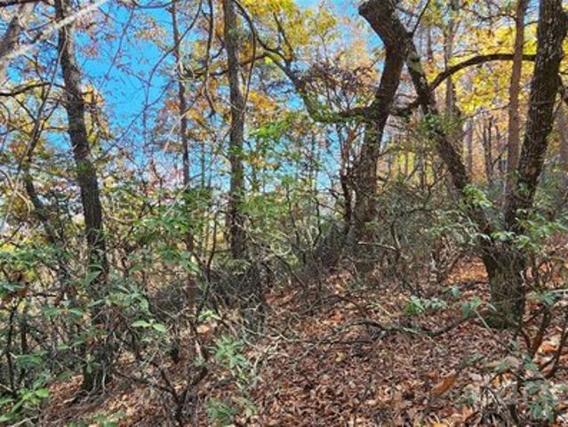 Land for sale in Rutherford, North Carolina