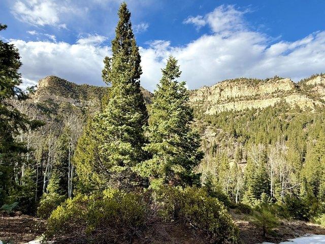 Land for sale in Alton, Utah