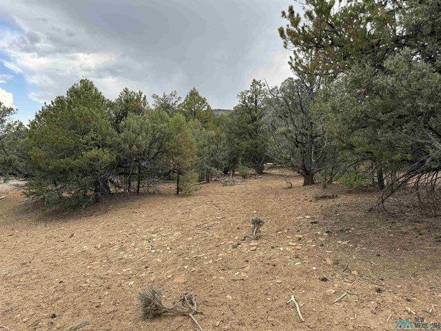 Land for sale in New Mexico