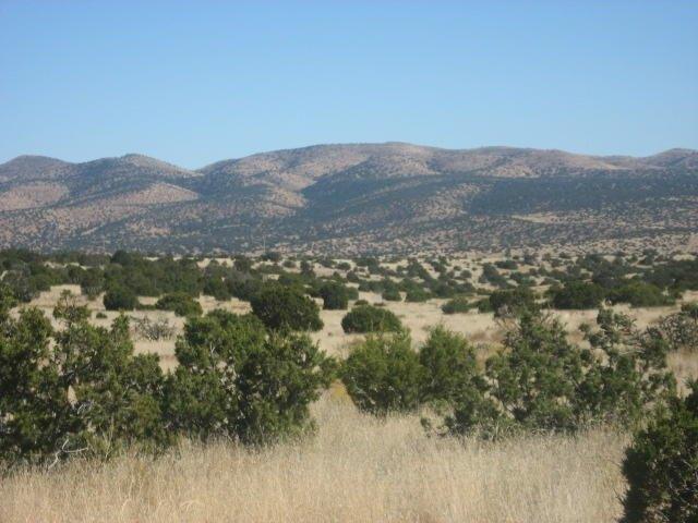 Land for sale in Magdalena, New Mexico