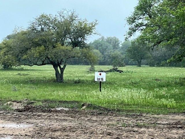 Land for sale in Columbus, Texas