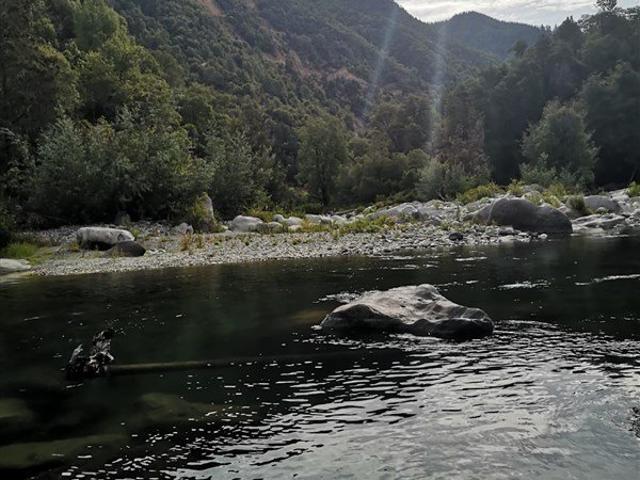 Pinto, A 800 metros camino principal