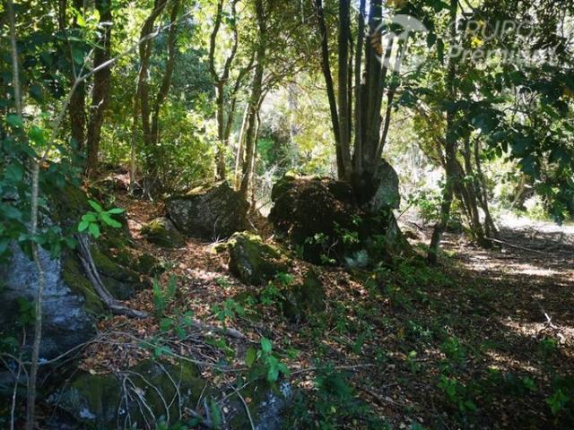 Pinto, A 800 metros camino principal