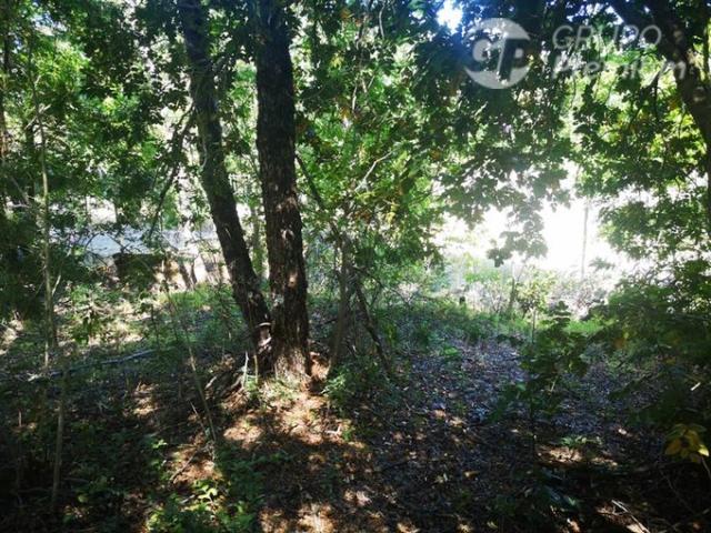 Pinto, A 800 metros camino principal