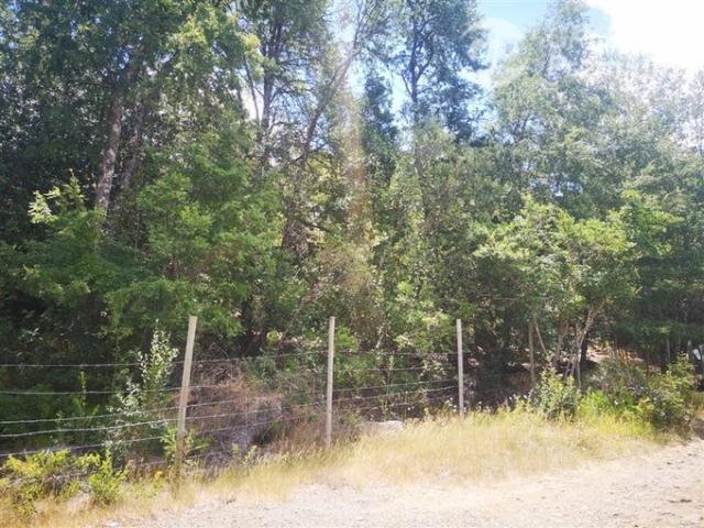 Pinto, A 800 metros camino principal