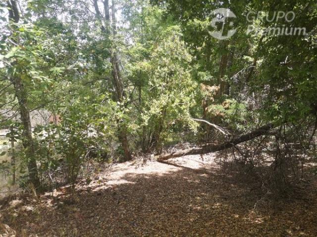 Pinto, A 800 metros camino principal