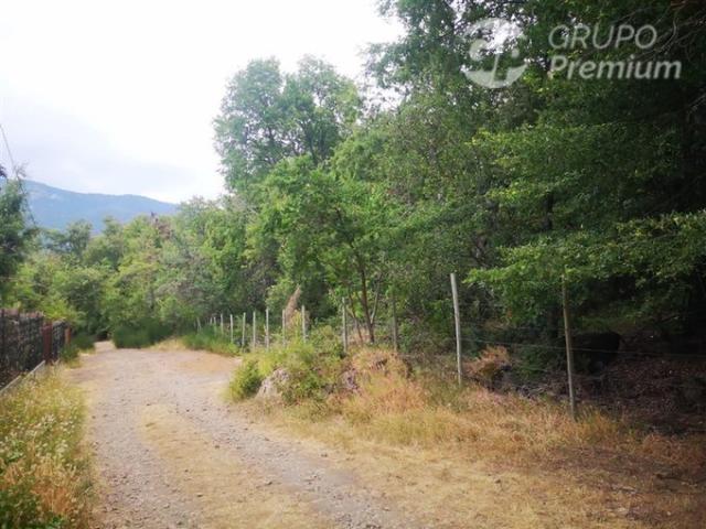 Pinto, A 800 metros camino principal