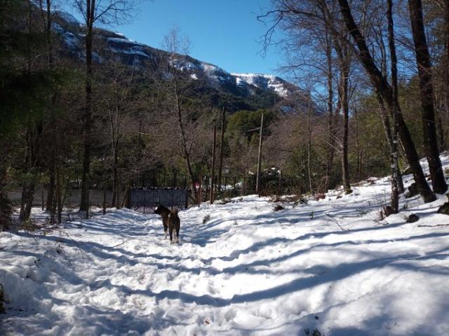 Pinto, Oferta excelente Cabaña 102 mts2 + 34 mts2 124585