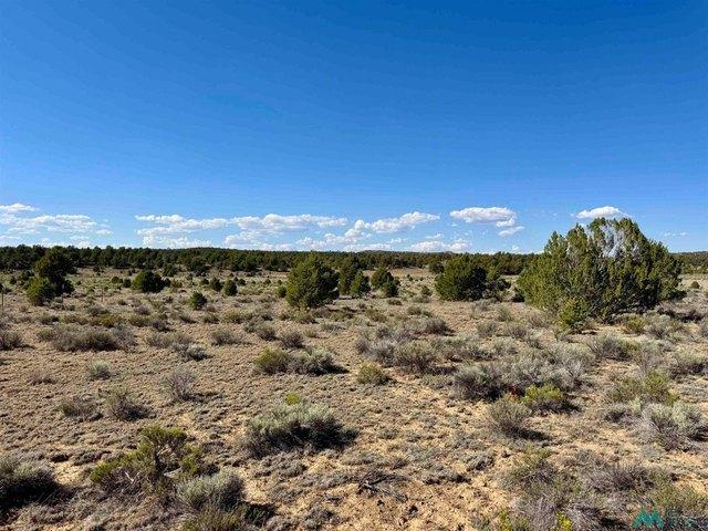Land for sale in Kansas
