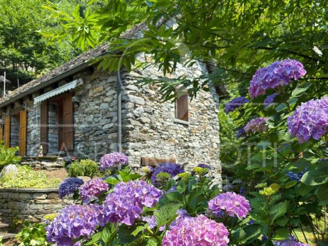 Haus kaufen in Broglio, Tessin