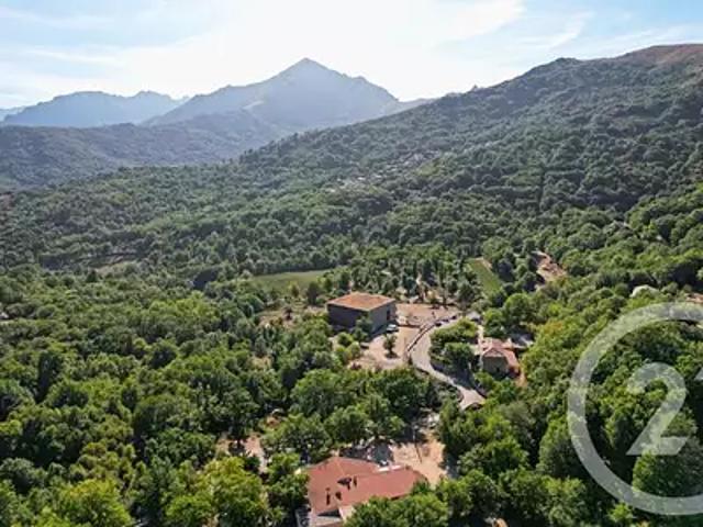 Maison vente à Calvi, Pioggiola