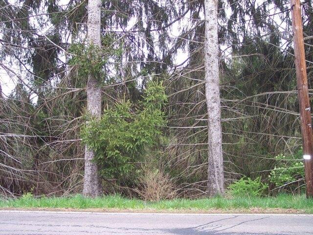 House for sale in Shavertown, Pennsylvania
