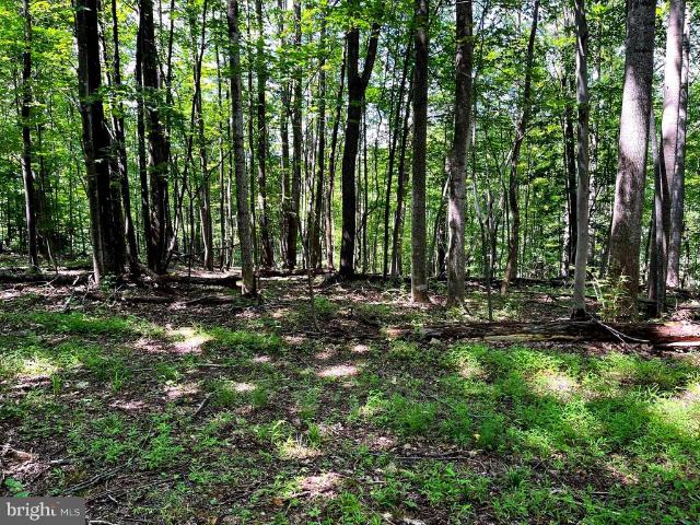 Land for sale in Virginia