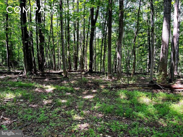 Property for sale in Virginia