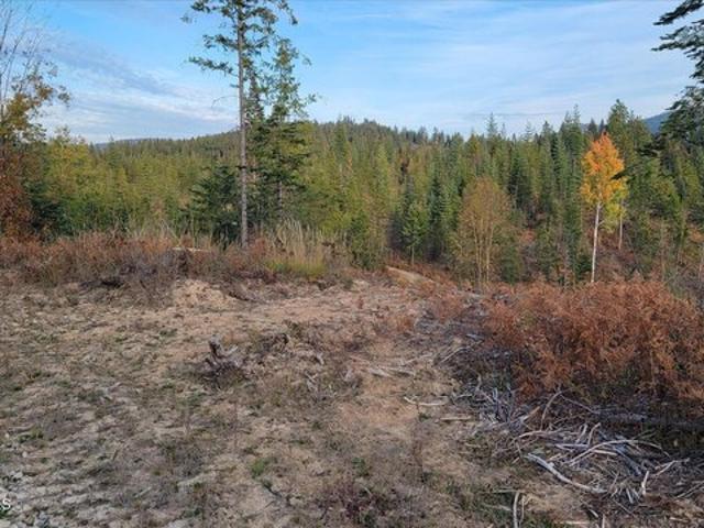 Land for sale in Priest River, Idaho