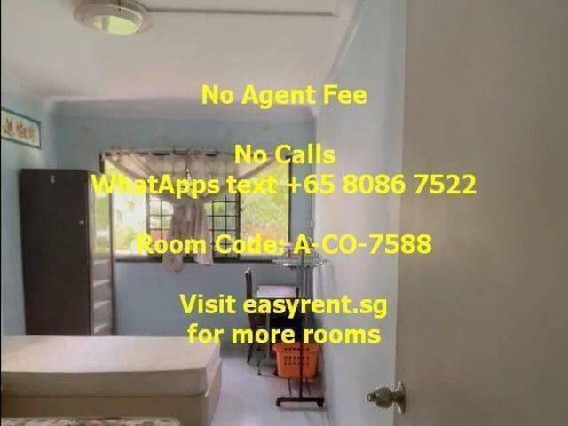 Room for rent