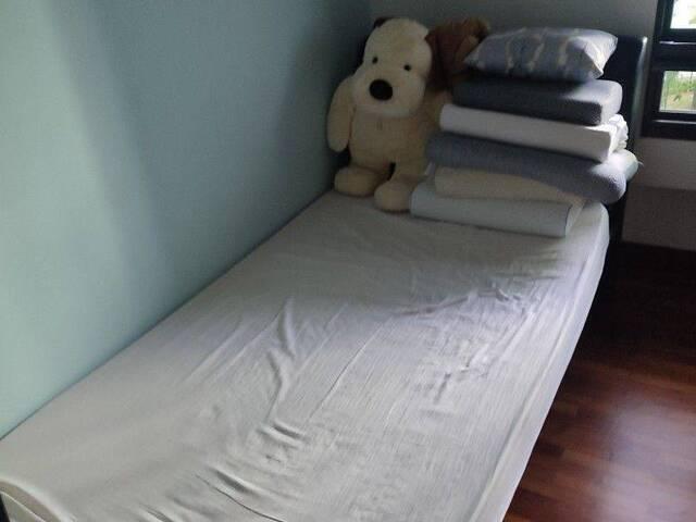 Room for rent
