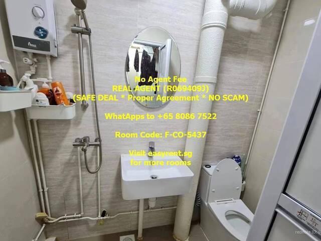 Room for rent