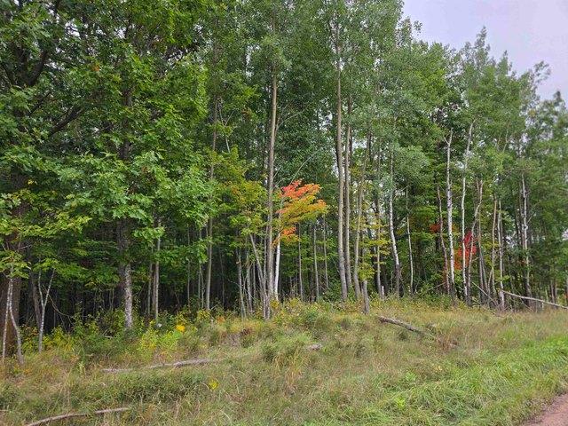 Land for sale in Carlton, Minnesota