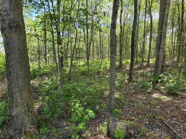 Land for sale in Sullivan, Pennsylvania