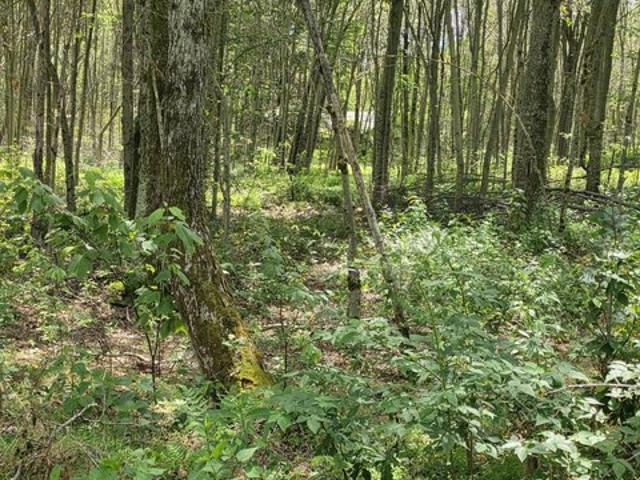 Land for sale in Sullivan, Pennsylvania