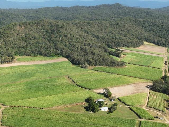 Acreage for sale in Septimus, Queensland