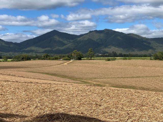 Acreage for sale in Finch Hatton, Queensland
