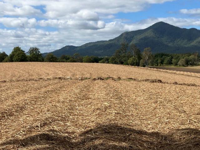 Acreage for sale in Finch Hatton, Queensland