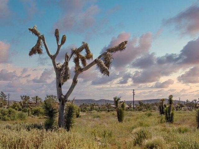 Land for sale in Pioneertown, California