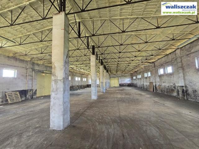 Mieszkanie do wynajęcia w Piotrków Trybunalski, Łódzkie