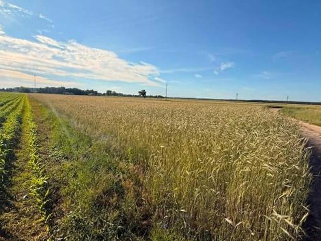 Grunt na sprzedaż w Słupca, Wielkopolskie