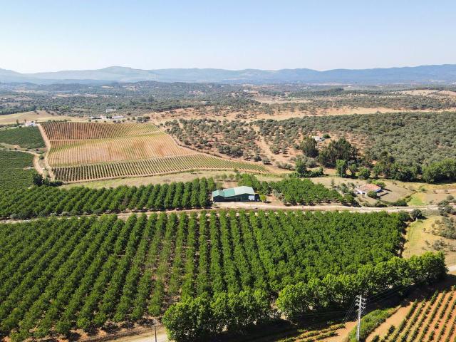 Terreno venda em Fonte do Imperador, Estremoz