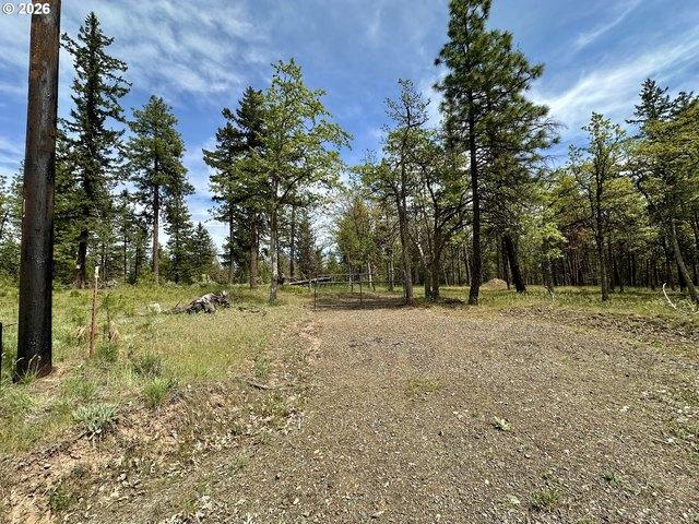 Land for sale in Goldendale, Washington