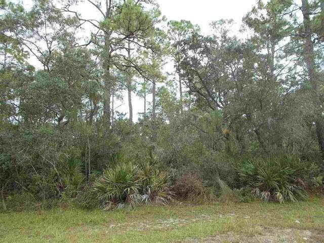 Land for sale in Panacea
