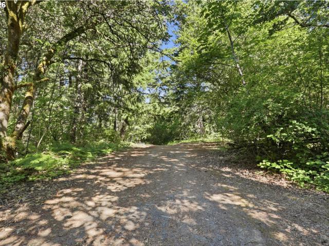 Land for sale in Stevenson, Washington