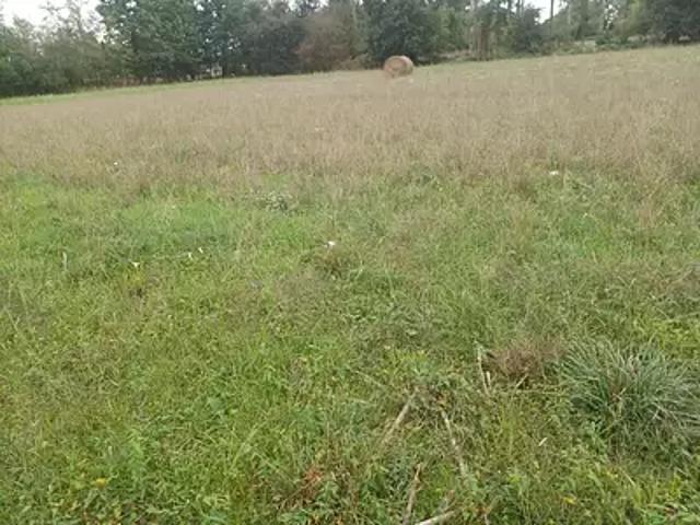 Terrain vente à Redon, Bretagne