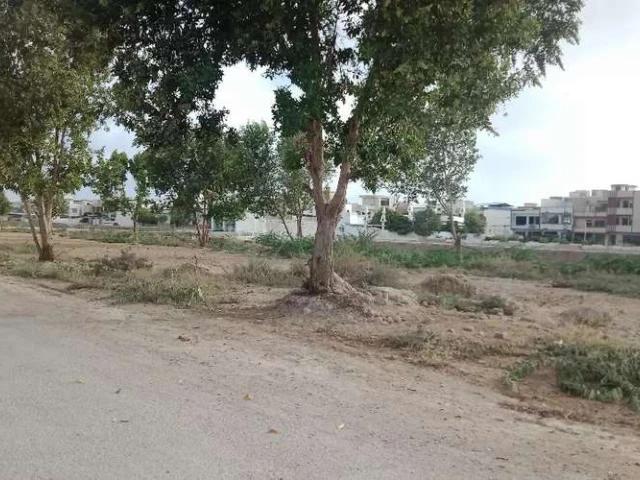 Land for sale in North Waziristan, Federally Administered Tribal Areas fata