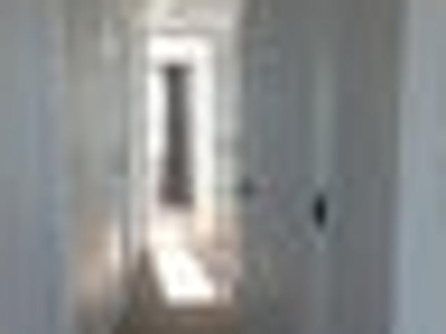 House for rent in Napier