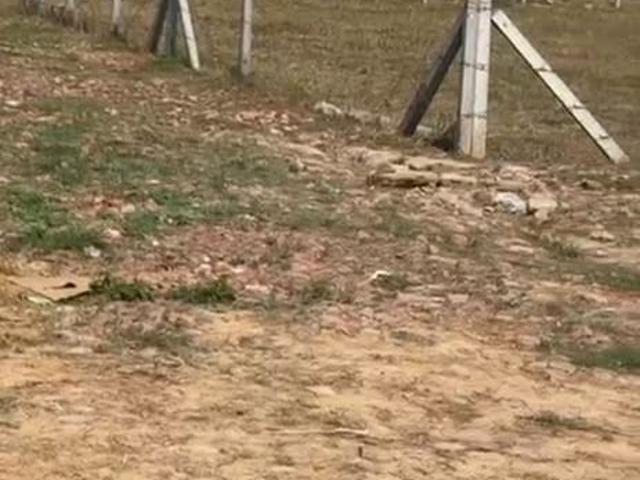 Commercial for sale in Hariana
