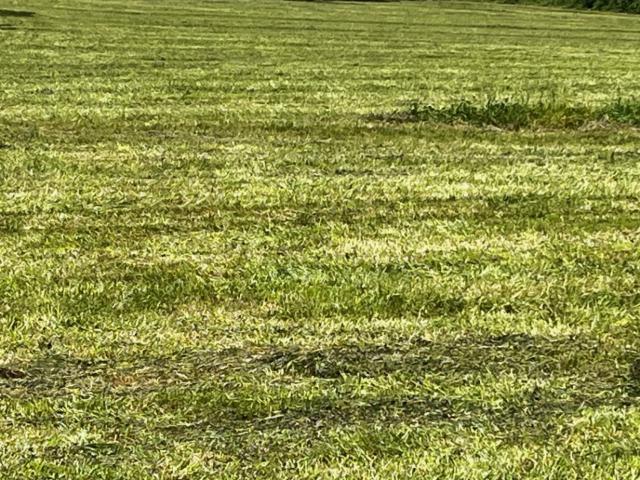 Terrain vente à France métropolitaine, Pisany