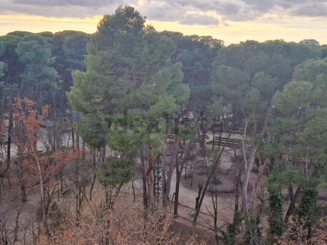 Piso en venta en Distrito 3, Albacete