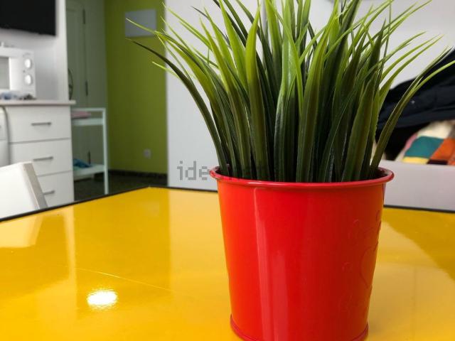 Piso en alquiler en Distrito 2, Albacete