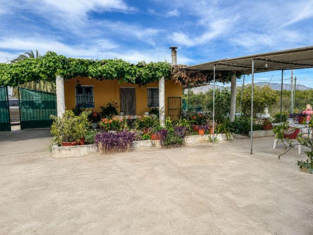 Piso en venta en el Baix Segura / La Vega Baja, Valencia