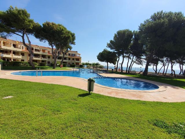 Piso en alquiler en Alcanar, Tarragona