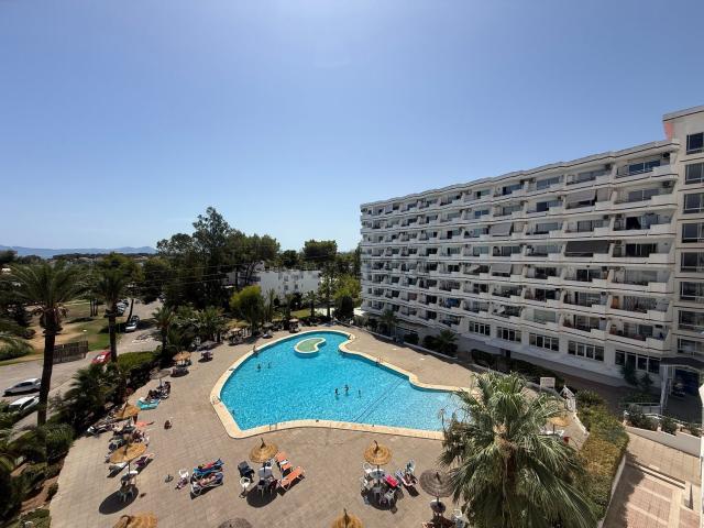 Piso en alquiler en Port d'Alcúdia, Raiguer