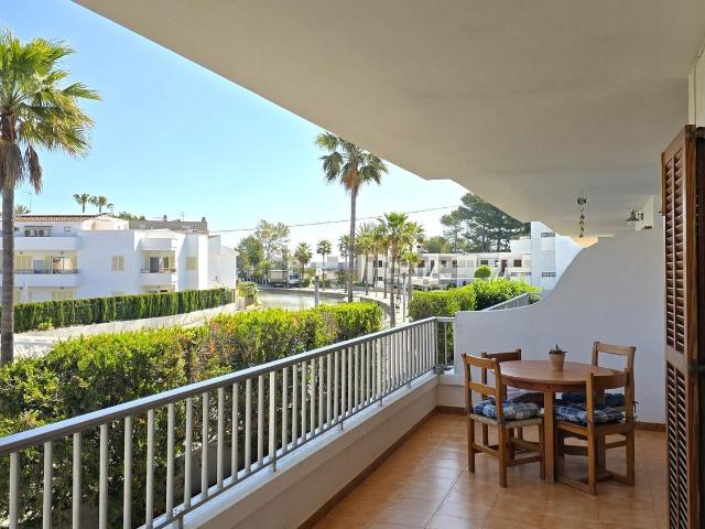 Piso en alquiler en Platja d'Alcúdia, Raiguer
