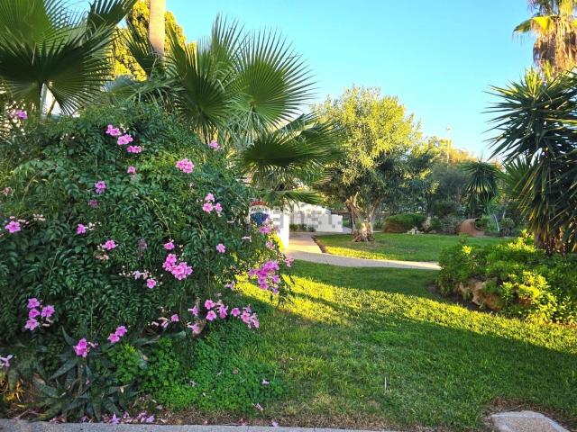 Piso en venta en Alcúdia, Platja d'Alcúdia