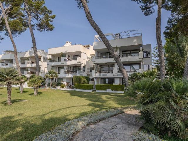 Piso en alquiler en Alcúdia, Port d'Alcúdia
