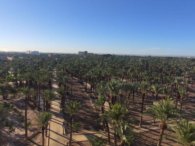 Piso en alquiler en el Baix Vinalopó, Valencia